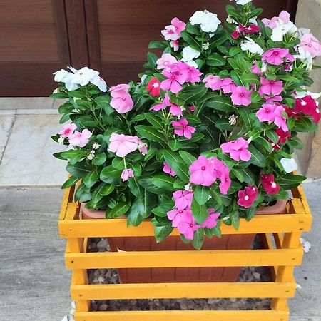 La Casa Di Anita Nel Cuore Di Segesta Calatafimi Szoba fotó